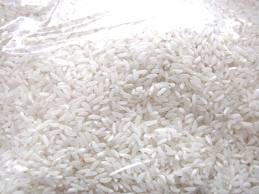 Jaya rice